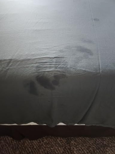 Cariloha Aloha Soft Bamboo Viscose Sheet Set - Cape Blue - Split King | Buttery Soft, Hypoallergenic, Cooling Sheets, 1 Flat, 2 Fitted, 2 Pillowcases, 16 in Deep Pockets, OEKO-TEX Standard 100 customer photo 2