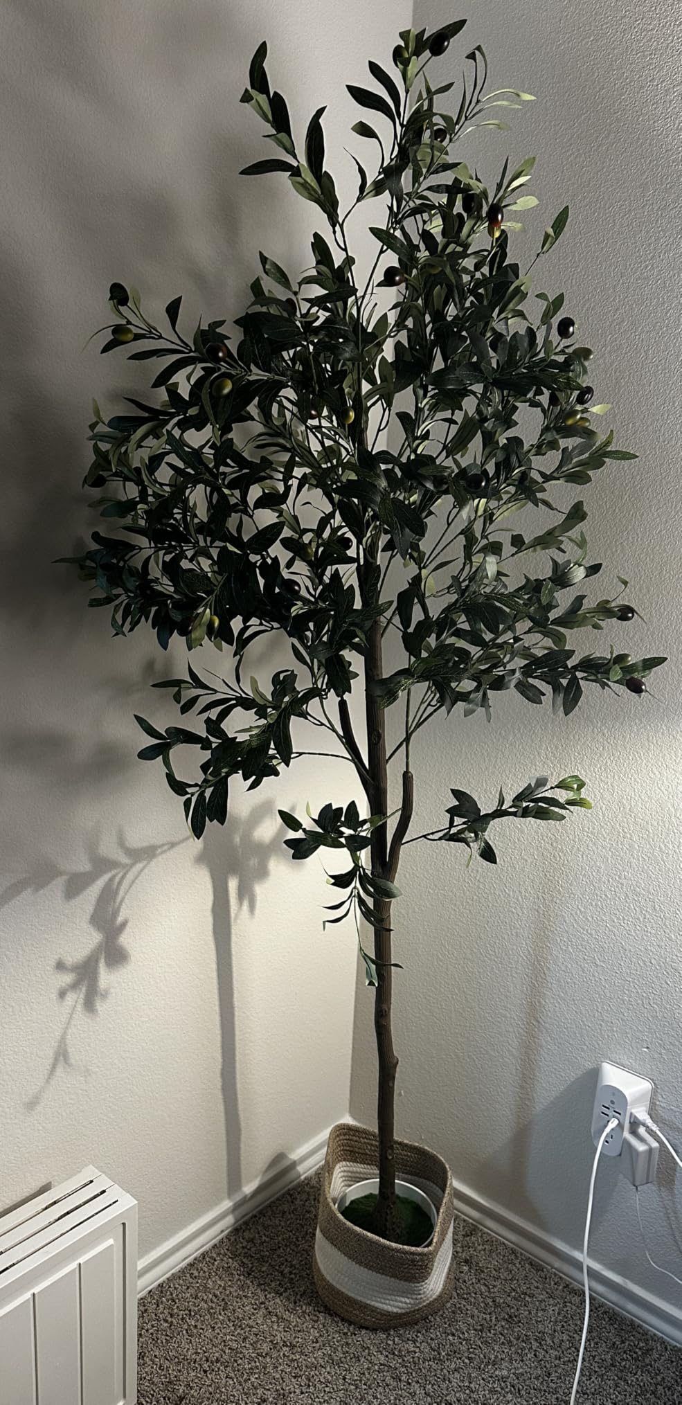 6FT Artificial Olive Tree - Indoor Tall Faux Olive Trees with Planter&Basket, Large Fake Olive Silk Tree Realistic Olive Plants with Branches and Fruits for Home Decor Office Living Room customer photo 1
