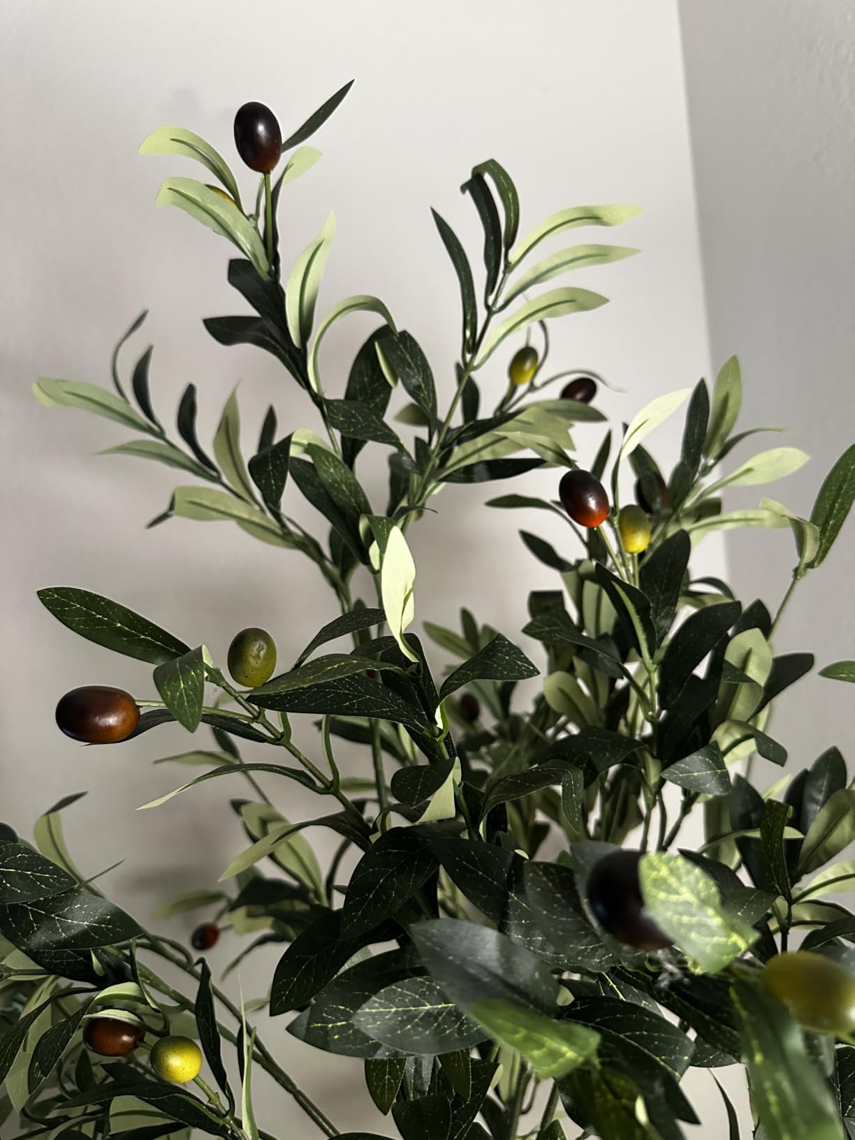 6FT Artificial Olive Tree - Indoor Tall Faux Olive Trees with Planter&Basket, Large Fake Olive Silk Tree Realistic Olive Plants with Branches and Fruits for Home Decor Office Living Room customer photo 2