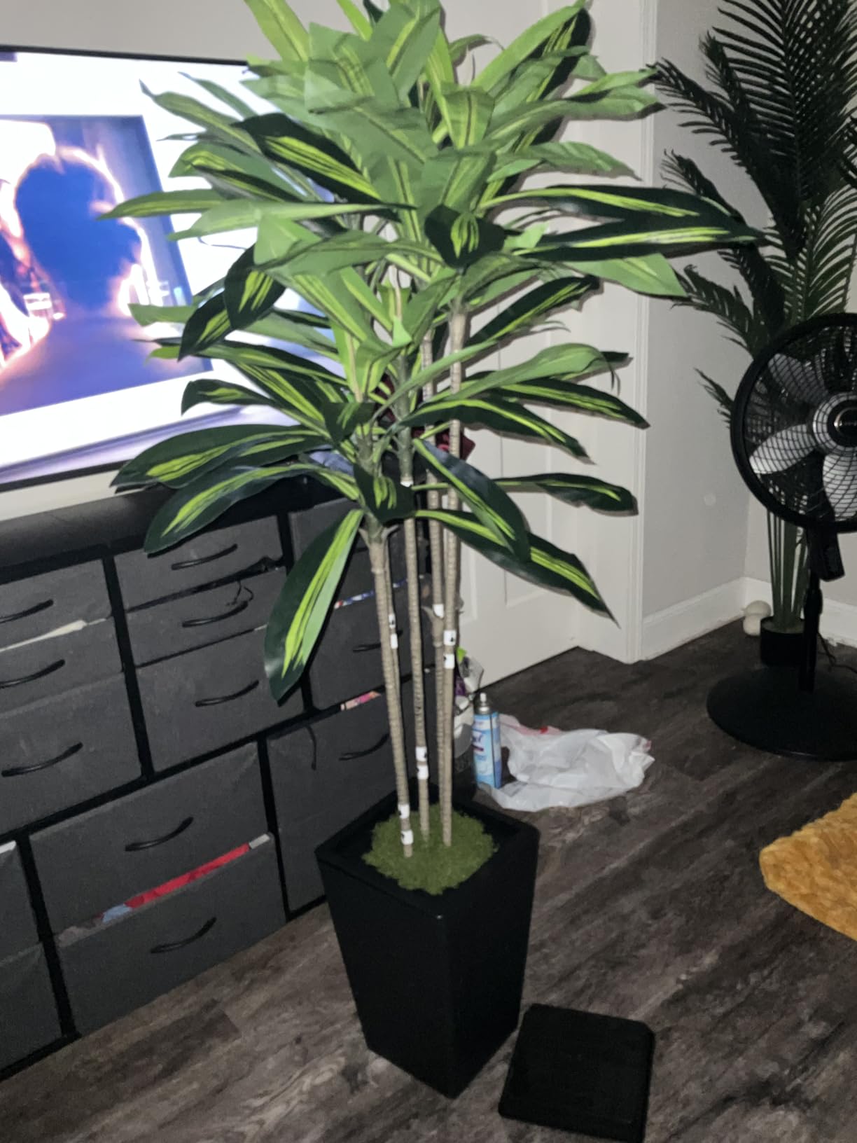 6FT Artificial Dracaena Tree, Fake Tree Indoor with White Tall Planter, Tall Artificial Plants Indoor, Artificial Silk Tree for Home Office Decor (White) customer photo 2