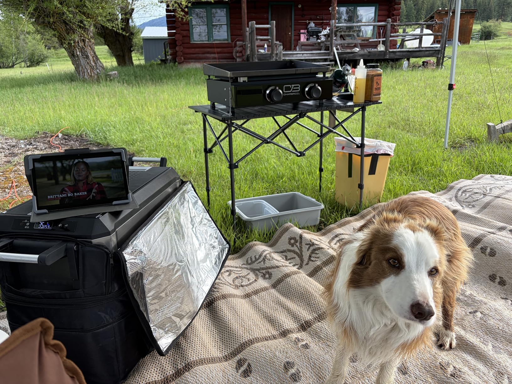 Folding Camping Table, Portable Aluminum Adjustable Height, Black, Roll-Up Camp Lightweight Table with Carry Bag, 21.7