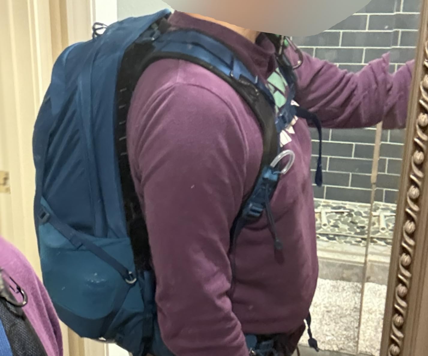 Osprey Talon 22L Men's Lightweight Hiking Backpack - Small Daypack for Travel & Camping customer photo 1