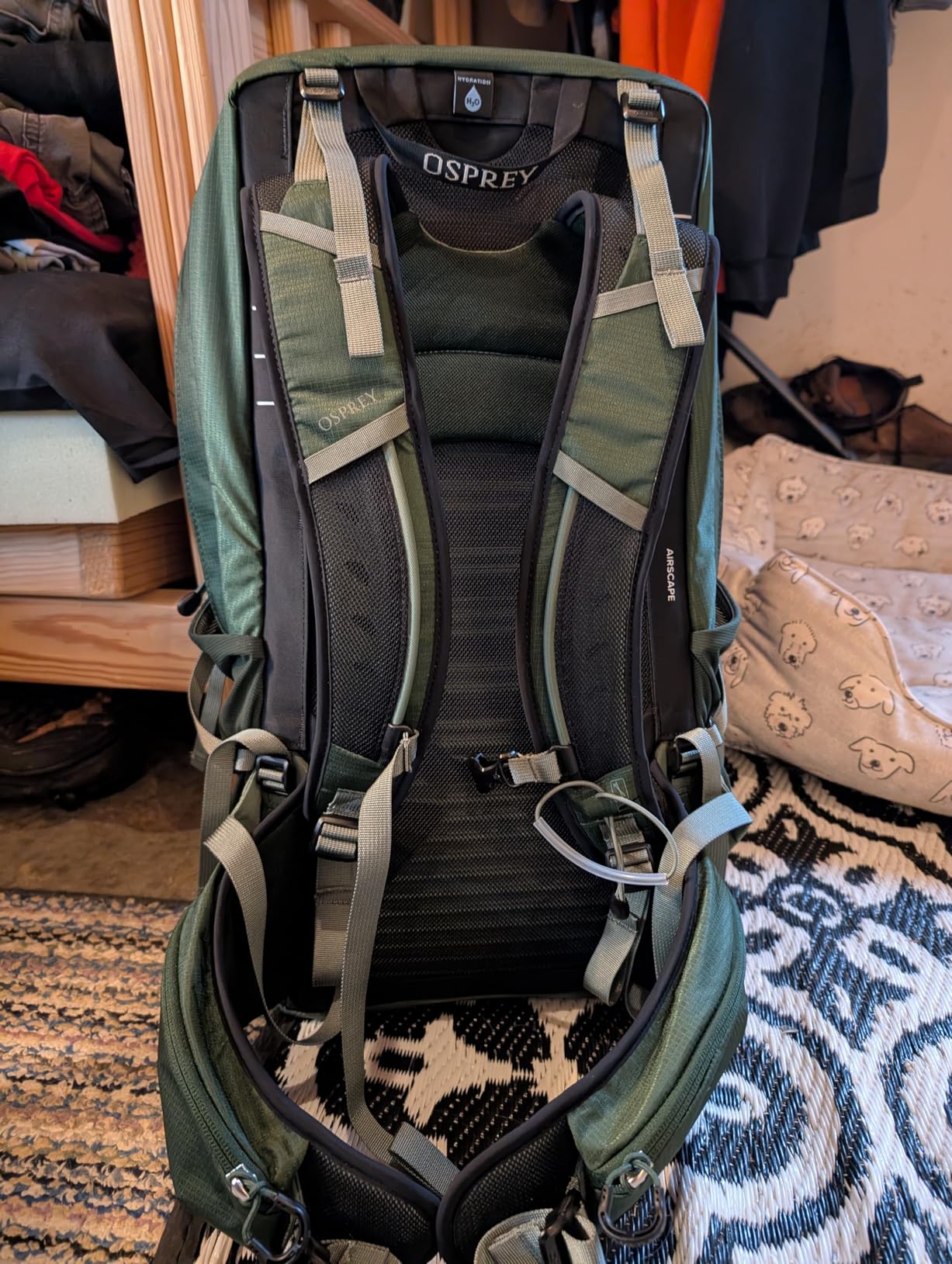 Osprey Talon 22L Men's Lightweight Hiking Backpack - Small Daypack for Travel & Camping, Black/Coal Grey customer photo 2