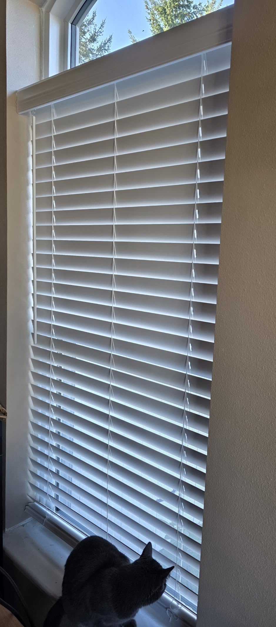 SEEYE 2 Inch Faux Wood Blinds for Indoor Windows with Crown Valance, Cordless Room Darkening Window Blind, 34