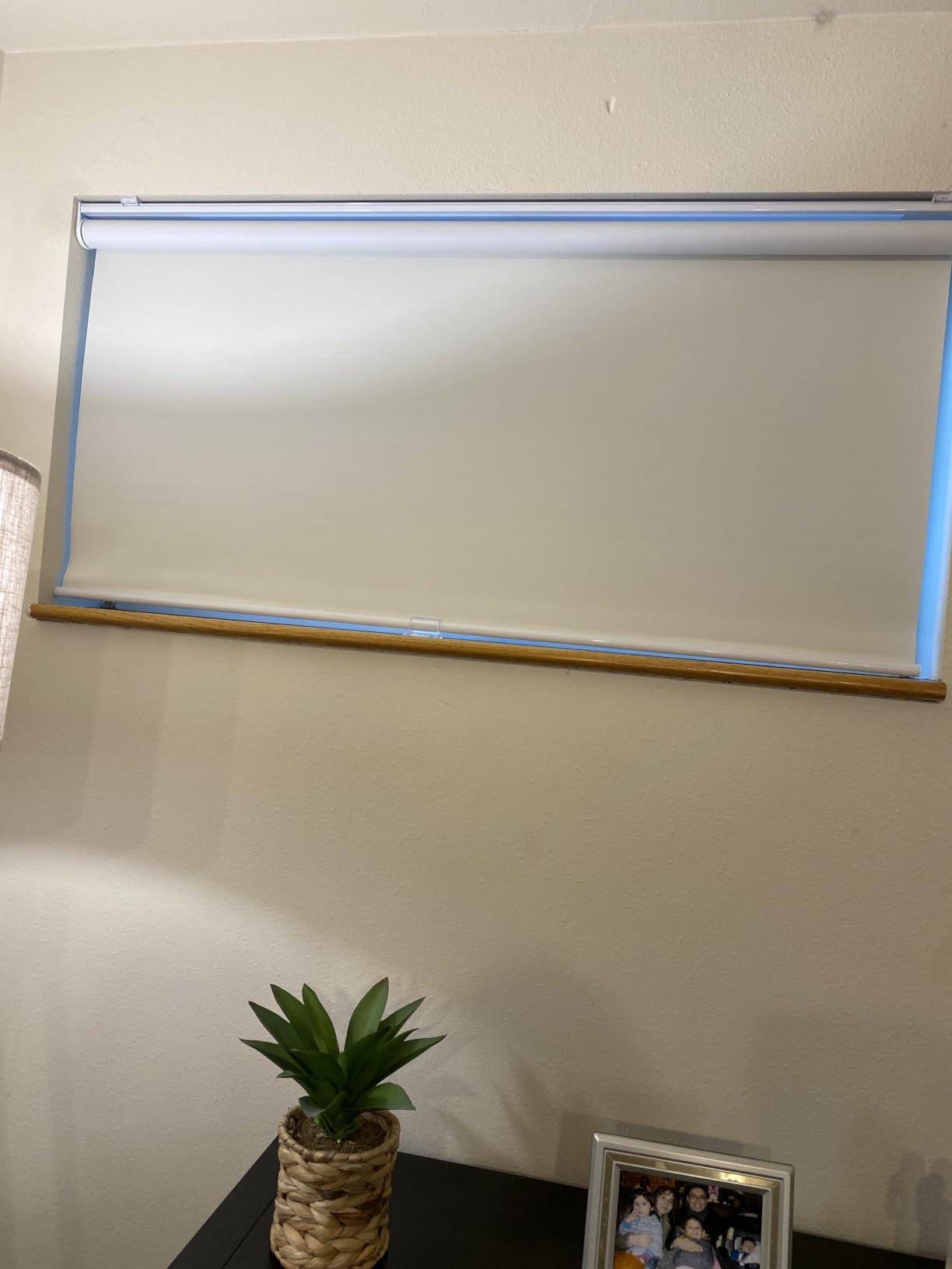 Blackout Cordless Roller Shades, Room Darkening Free-Stop Roll Up Blinds for Windows, Pull Down Blocking Blind for Home and Office, Easy to Install, 31