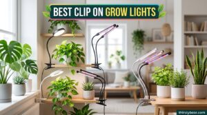 Best Clip On Grow Lights