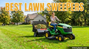 Best Lawn Sweepers