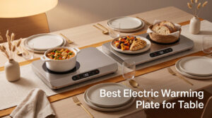 Best Electric Warming Plate for Table