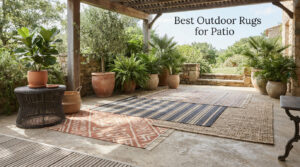 Best Outdoor Rugs for Patio
