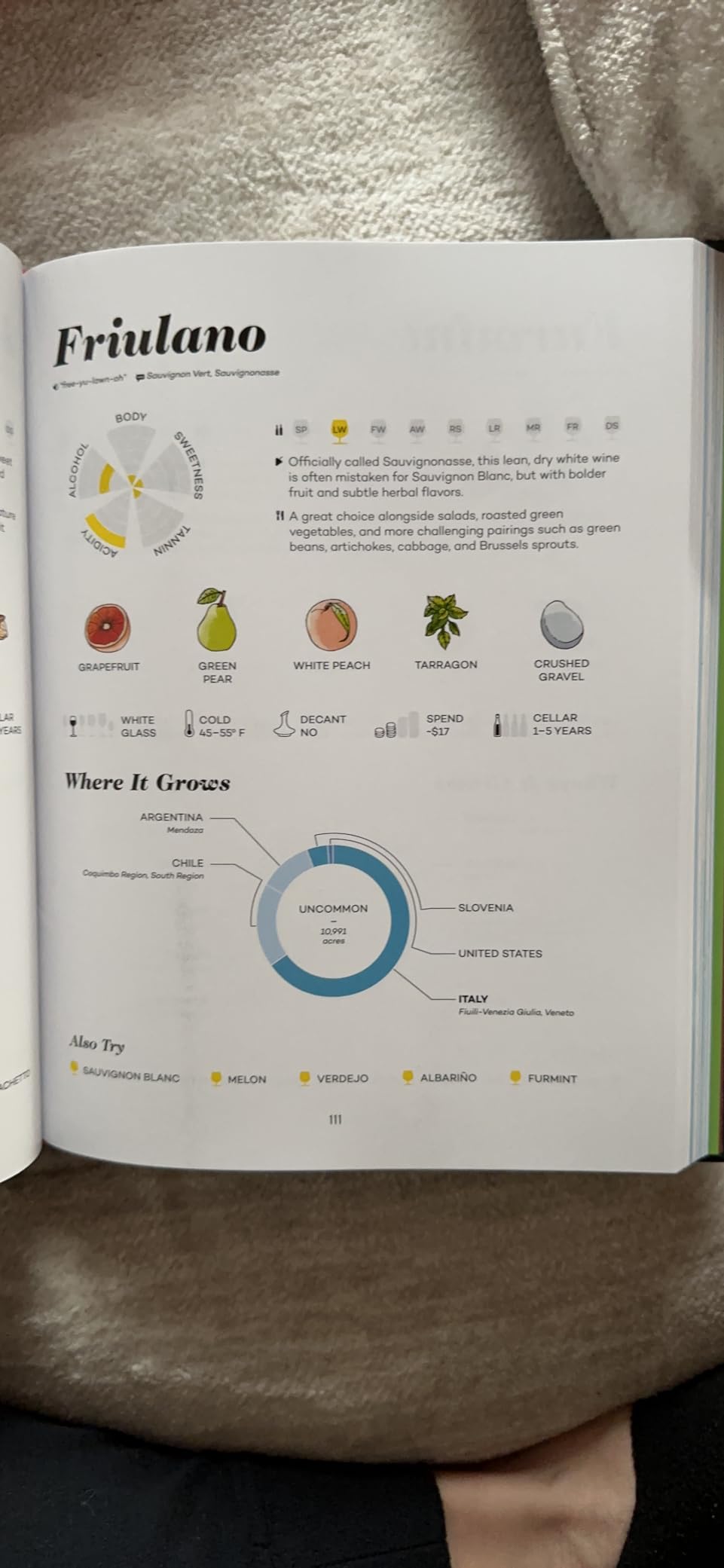 Wine Folly: Magnum Edition: The Master Guide customer photo 1
