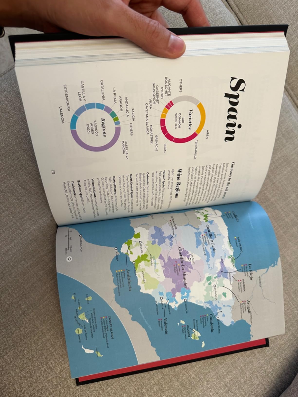 Wine Folly: Magnum Edition: The Master Guide customer photo 2