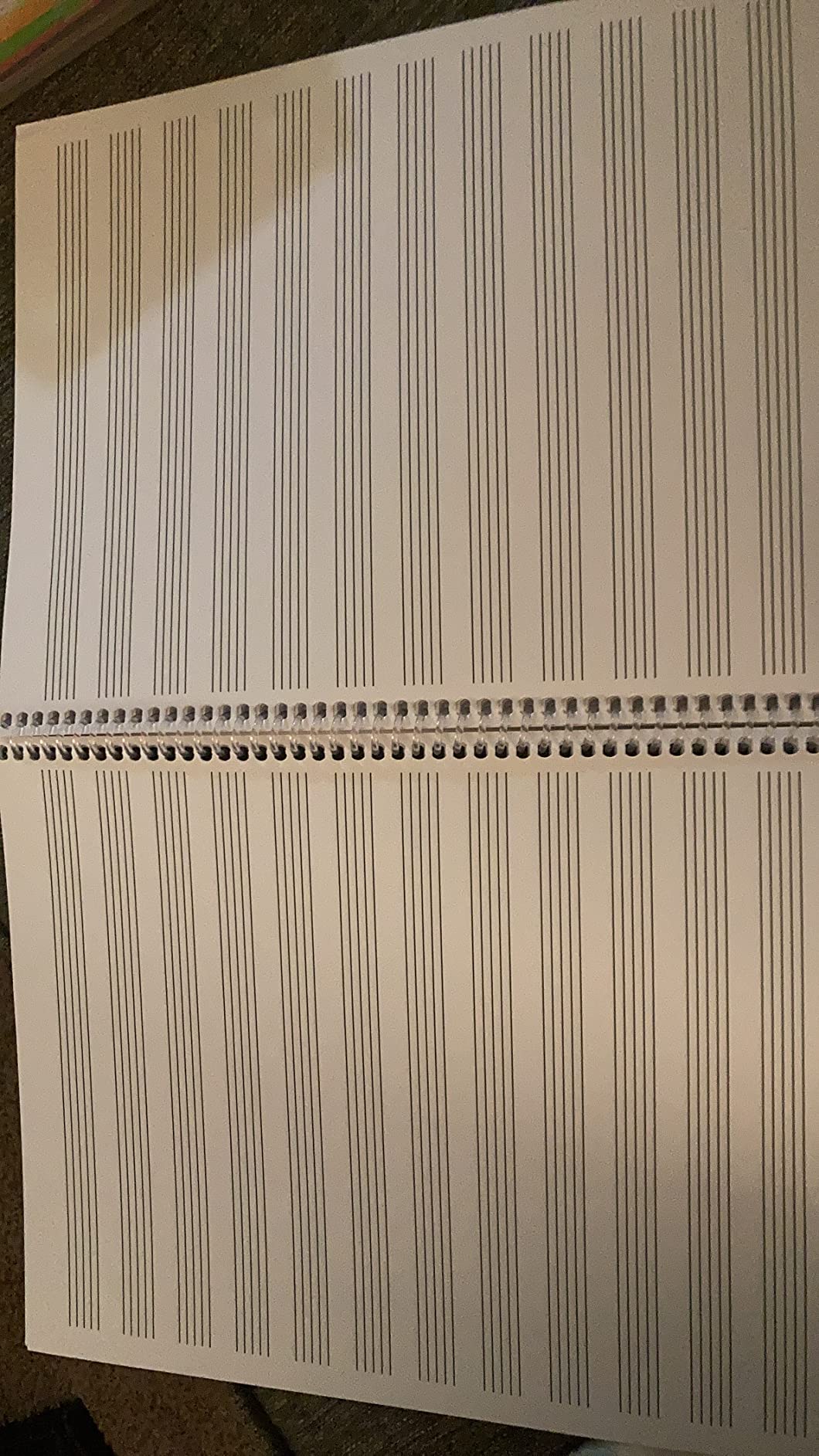 Manuscript Paper - Hal Leonard Standard Wirebound | 96-Page Music Writing Notebook with 12 Staves per Page | Spiral-Bound Staff Paper for Composers, Students, and Teachers | Includes Notation Guide customer photo 2