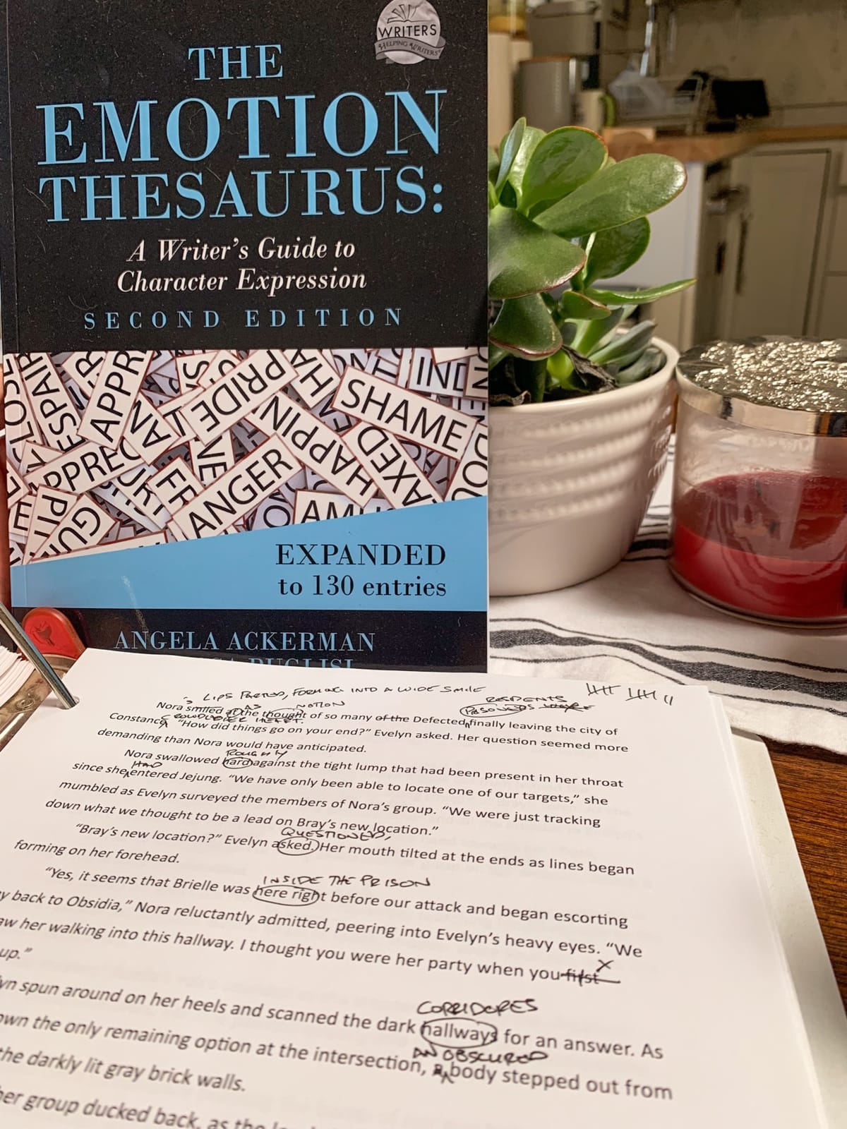 The Emotion Thesaurus: A Writer's Guide to Character Expression (Second Edition) (Writers Helping Writers Series) customer photo 2