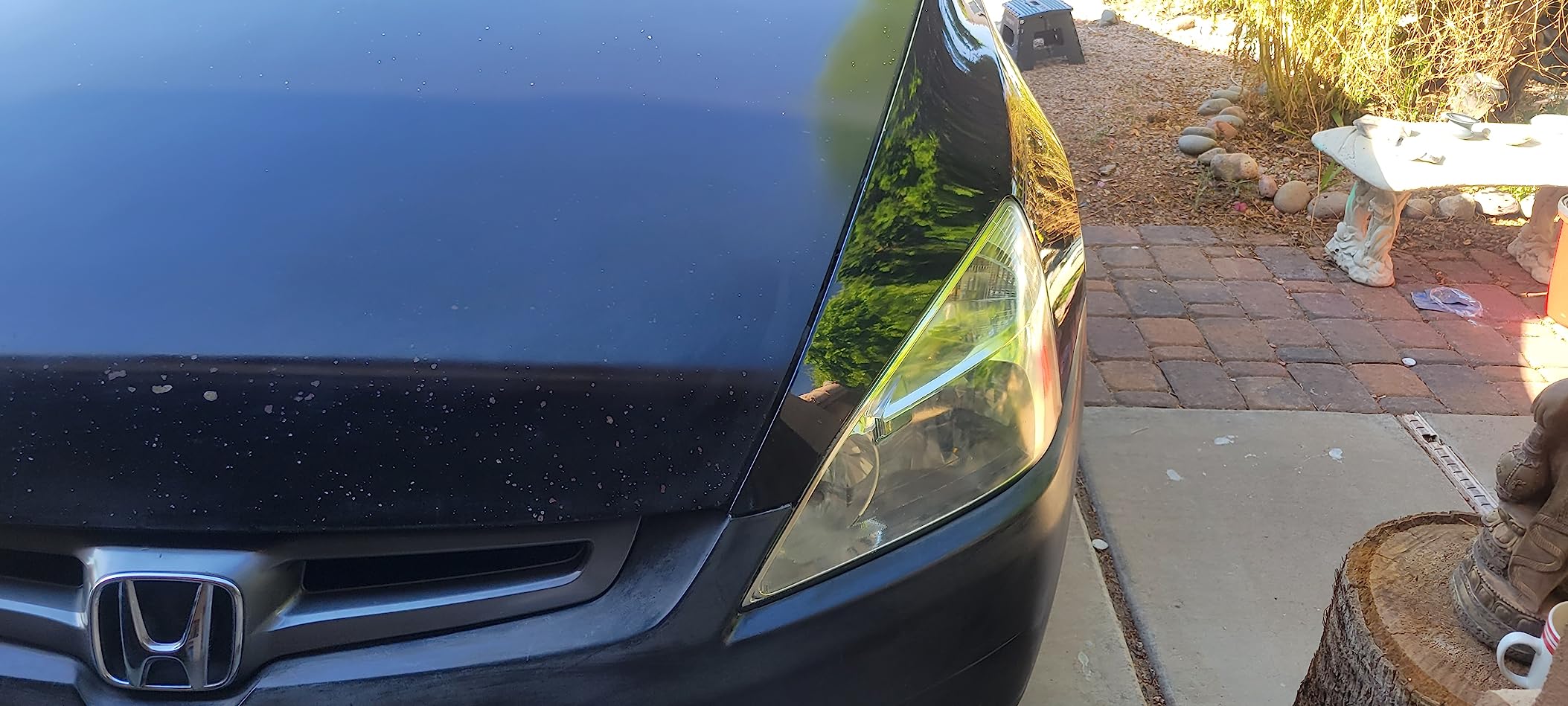 WEN 6010 6-Inch Waxer/Polisher customer photo 2