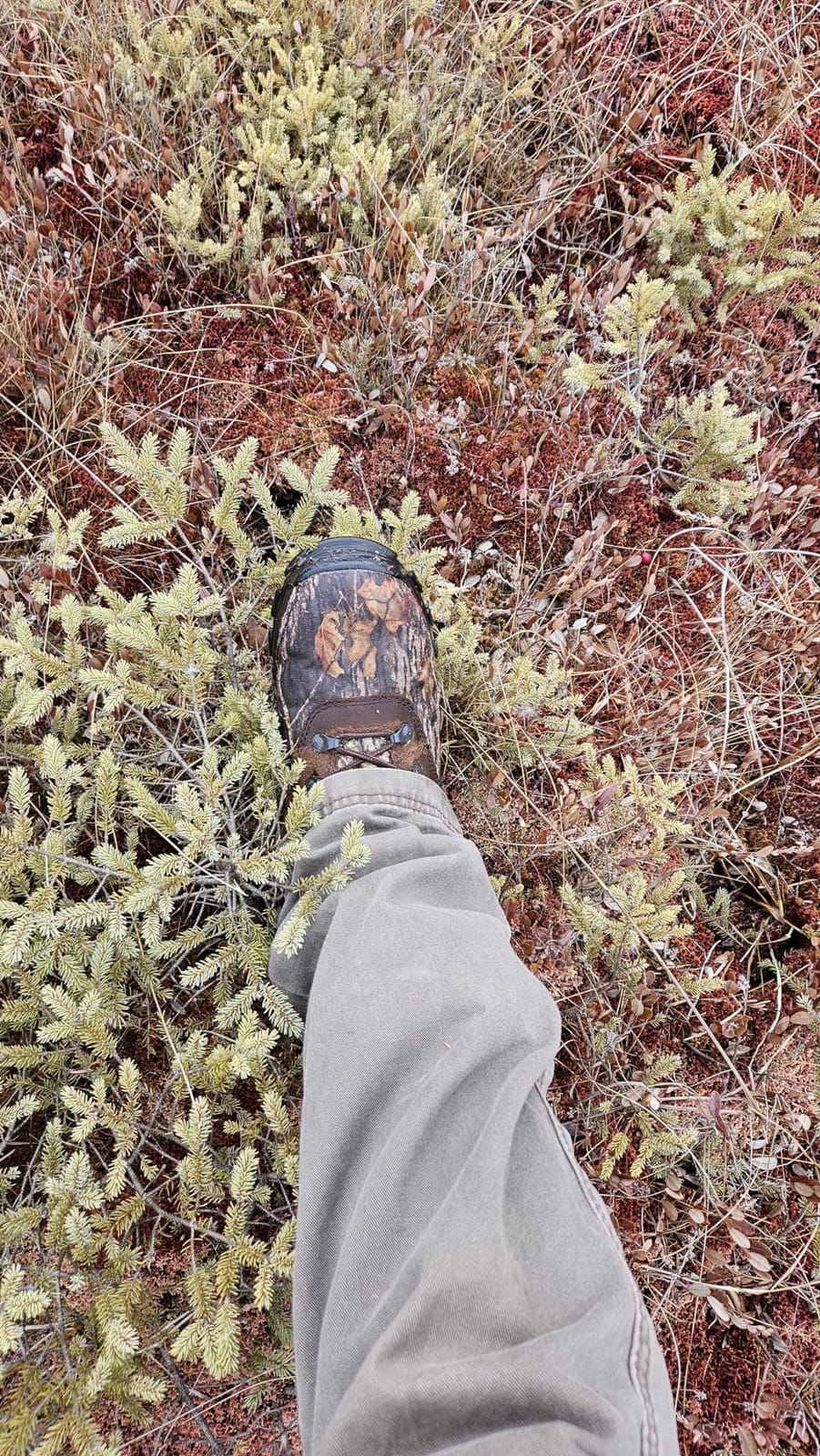 ROCKY Sport Utility 1000G Insulated Waterproof Boot customer photo 2