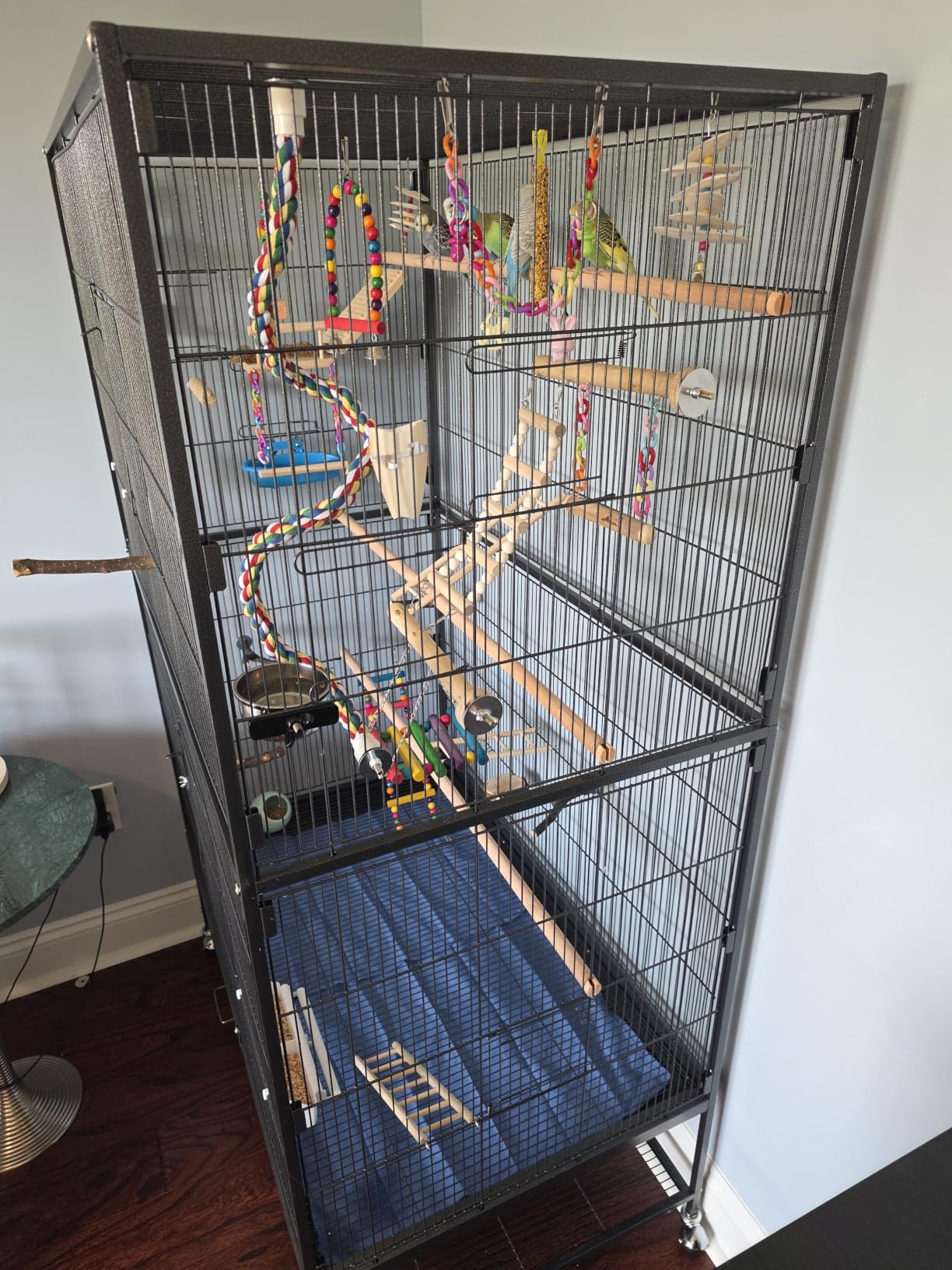 Prevue Hendryx Pet Products Wrought Iron Flight Cage - Big Rolling Bird Cage for Parakeets, Cockatiels, Conures, Lovebirds, Canaries, Finches, Parrotlets, & Caiques, 5 Ft - X-Large, Hammertone Black customer photo 2
