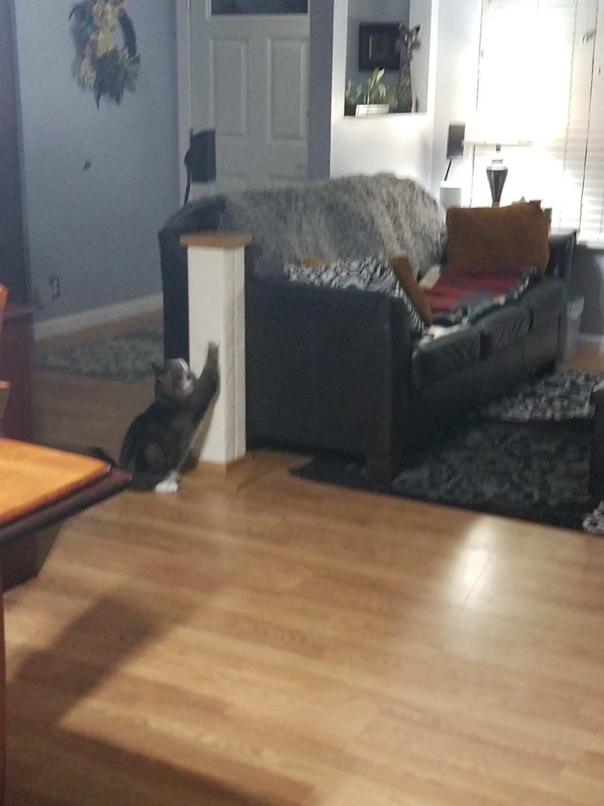 SmartCat Pioneer Pet Ultimate Scratching Post (Beige) customer photo 1