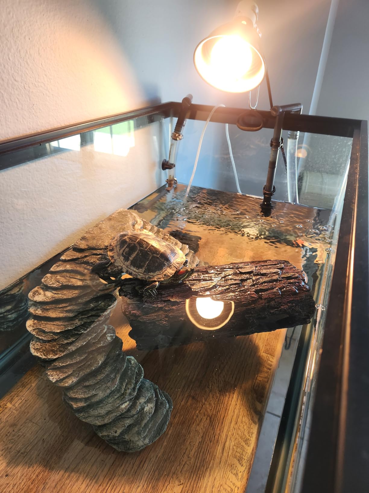 Fluker's Basking Spotlight Bulbs for Reptiles customer photo 2