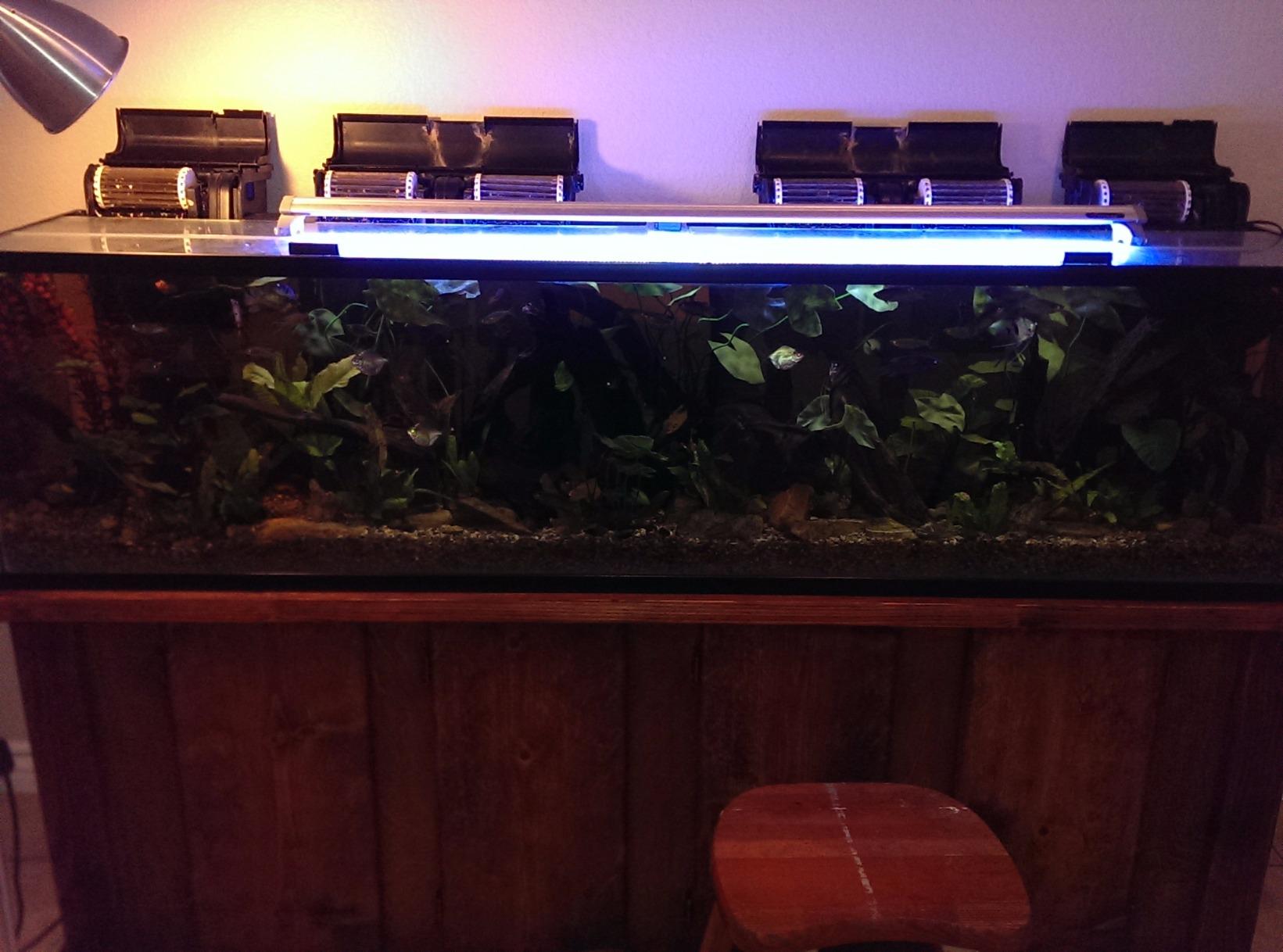 Marineland Penguin Bio-Wheel Power Filter 200 GPH, Multi-Stage Aquarium Filtration customer photo 2
