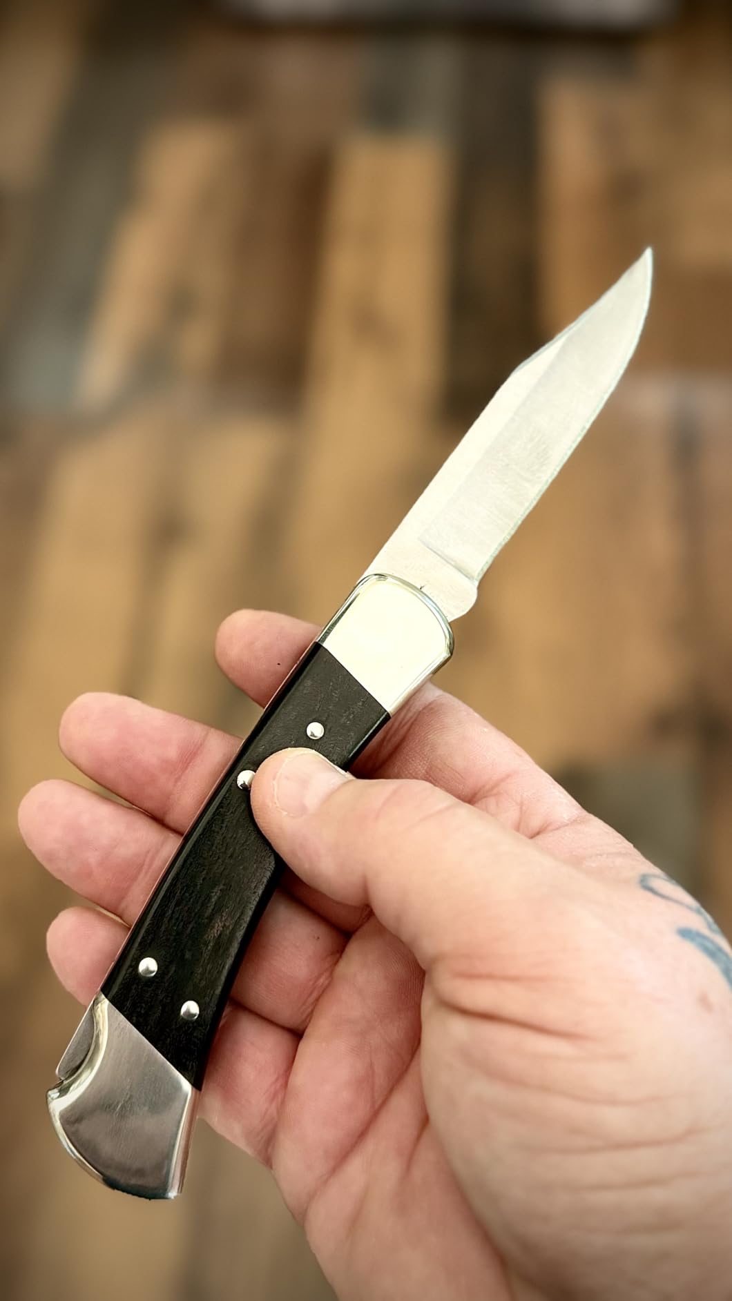 Buck Knives 110 Folding Hunter Lock-back Knife, Brass Bolsters, Ebony Handles, 3-3/4