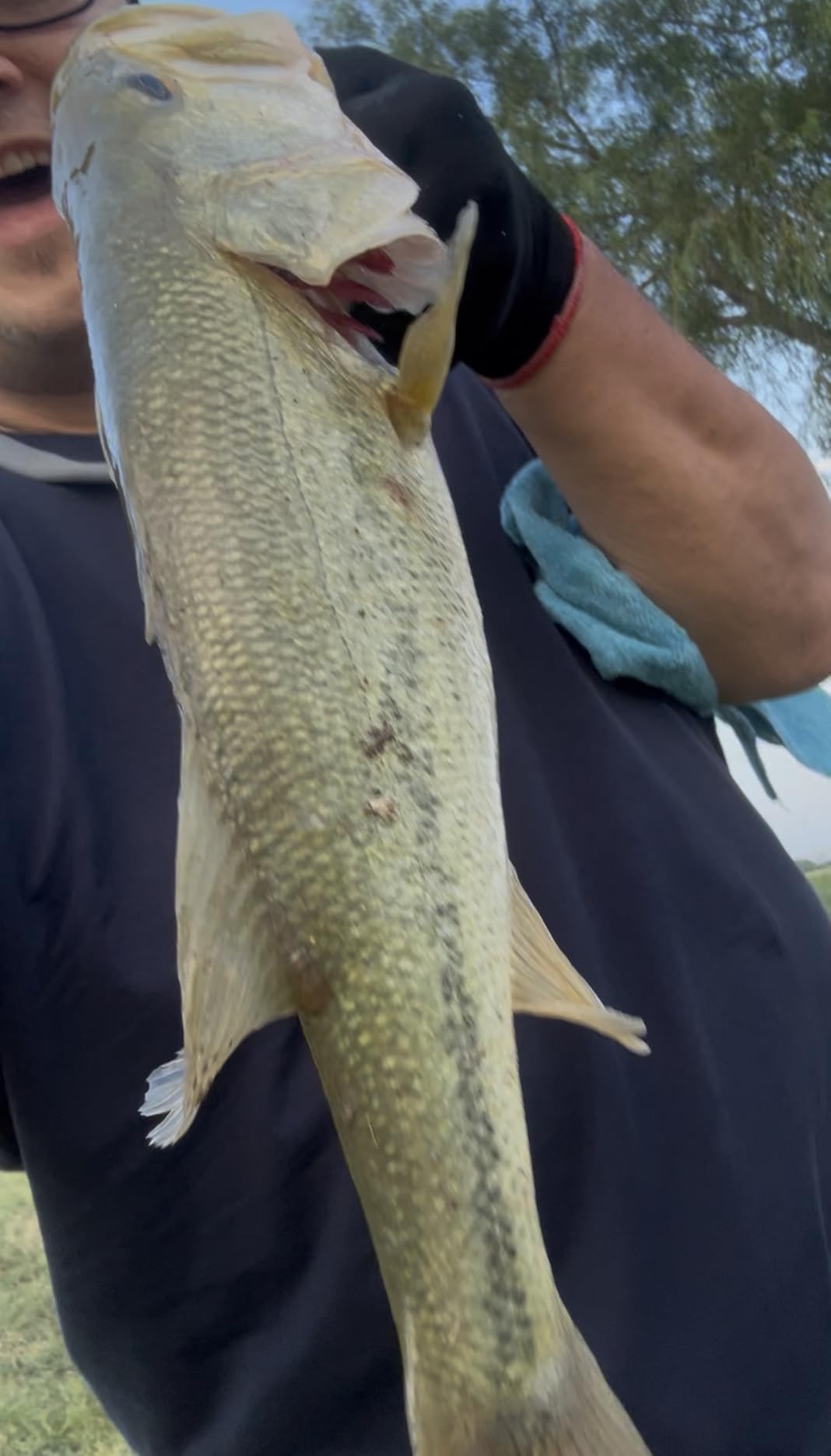 BOOYAH Pond Magic Small-Water Spinner-Bait Bass Fishing Lure customer photo 1