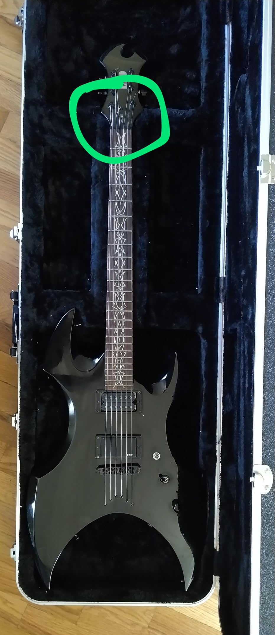 Gator Cases Deluxe ABS Molded Guitar Case for Electric Bass Guitars (GC-BASS) customer photo 1