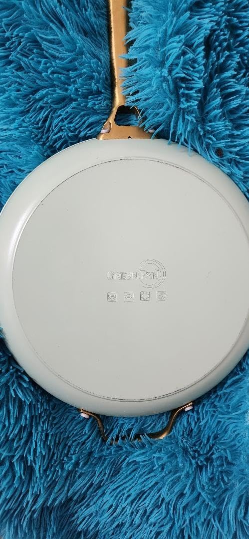 Scanpan Professional Nonstick Fry Pan 10.25