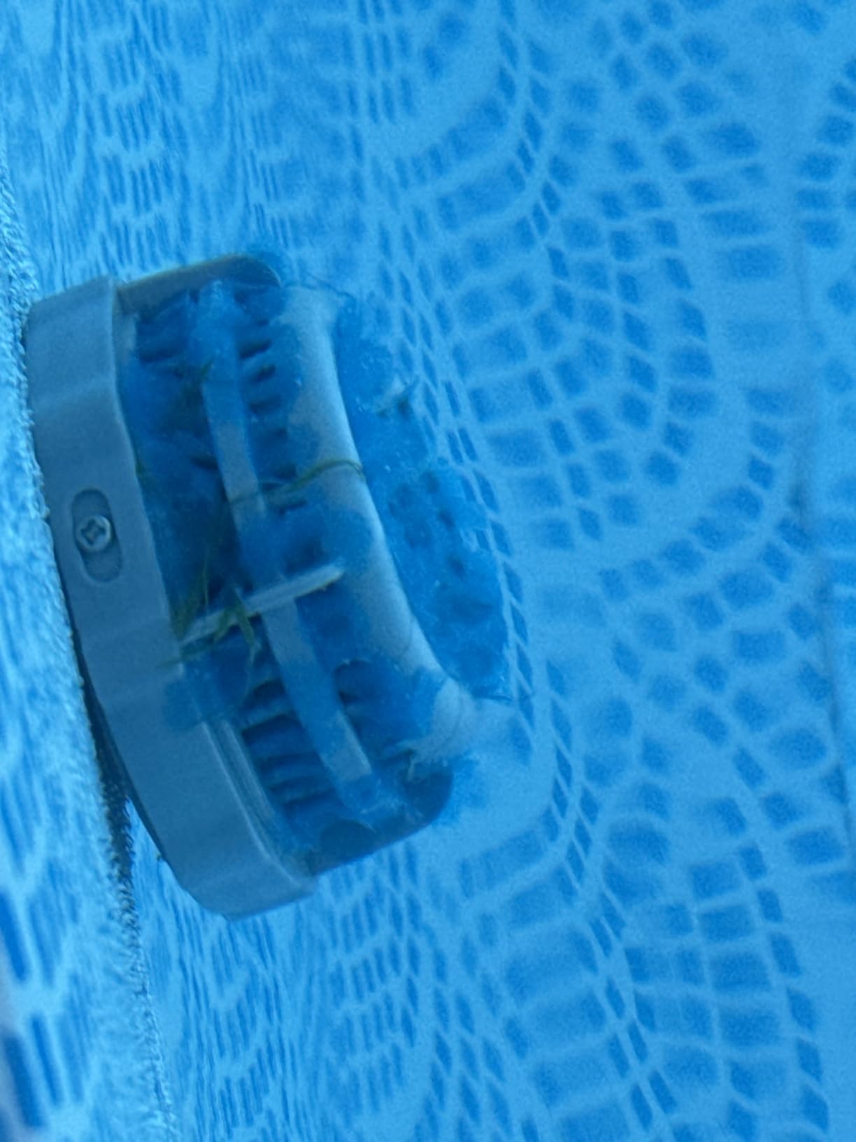 INTEX 28015E Solar Pool Cover: for 18ft Round Easy Set and Metal Frame Pools - Insulates Pool Water - Reduces Water Evaporation - Keeps Debris Out - Reduces Chemical Consumption customer photo 1