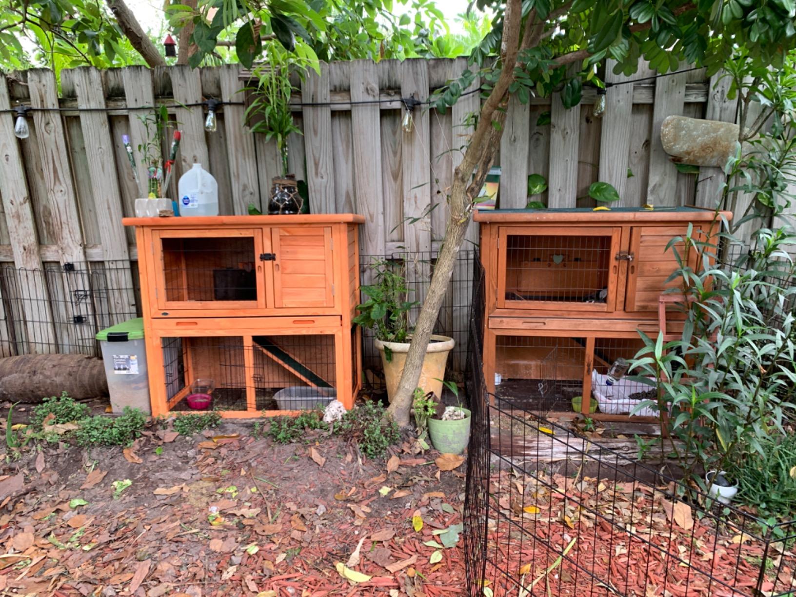 TRIXIE natura Outdoor Rabbit Hutch with Run - 2-Story Rabbit Cage with Non-Slip Ramp - Medium Elevated Small Animal House with Secure Playpen, Hinged Roof & Pull-Out Tray - in Brown customer photo 1