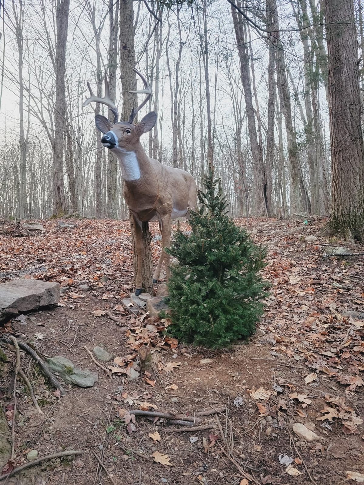 Flambeau Outdoors Boss Buck Deer Decoy Masters Series, Removable Legs, HDPE customer photo 1
