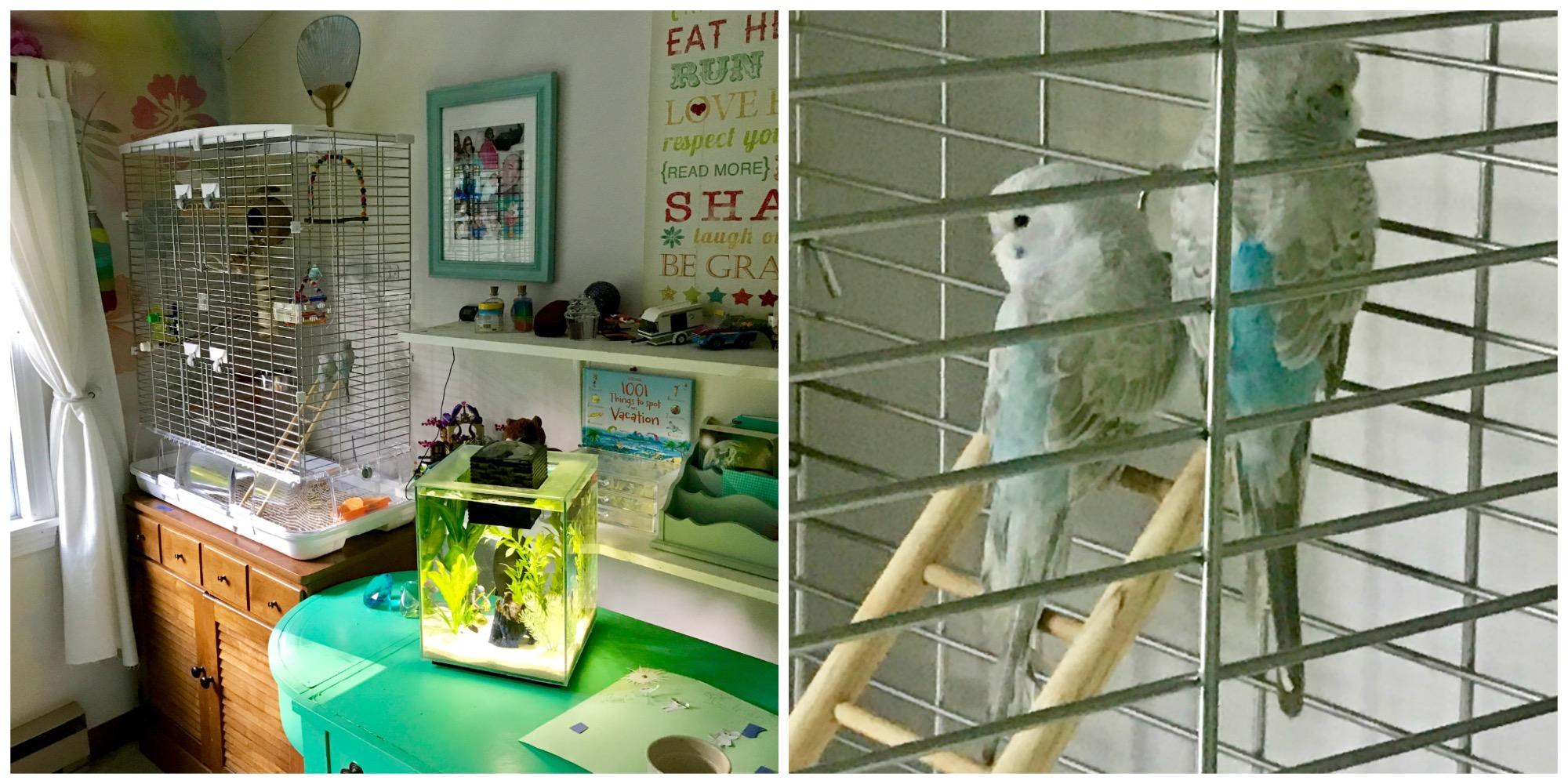 Vision M02 Wire Bird Cage, Bird Home for Parakeets, Finches and Canaries | Tall Medium customer photo 1