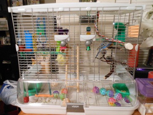 Vision M02 Wire Bird Cage, Bird Home for Parakeets, Finches and Canaries | Tall Medium customer photo 2