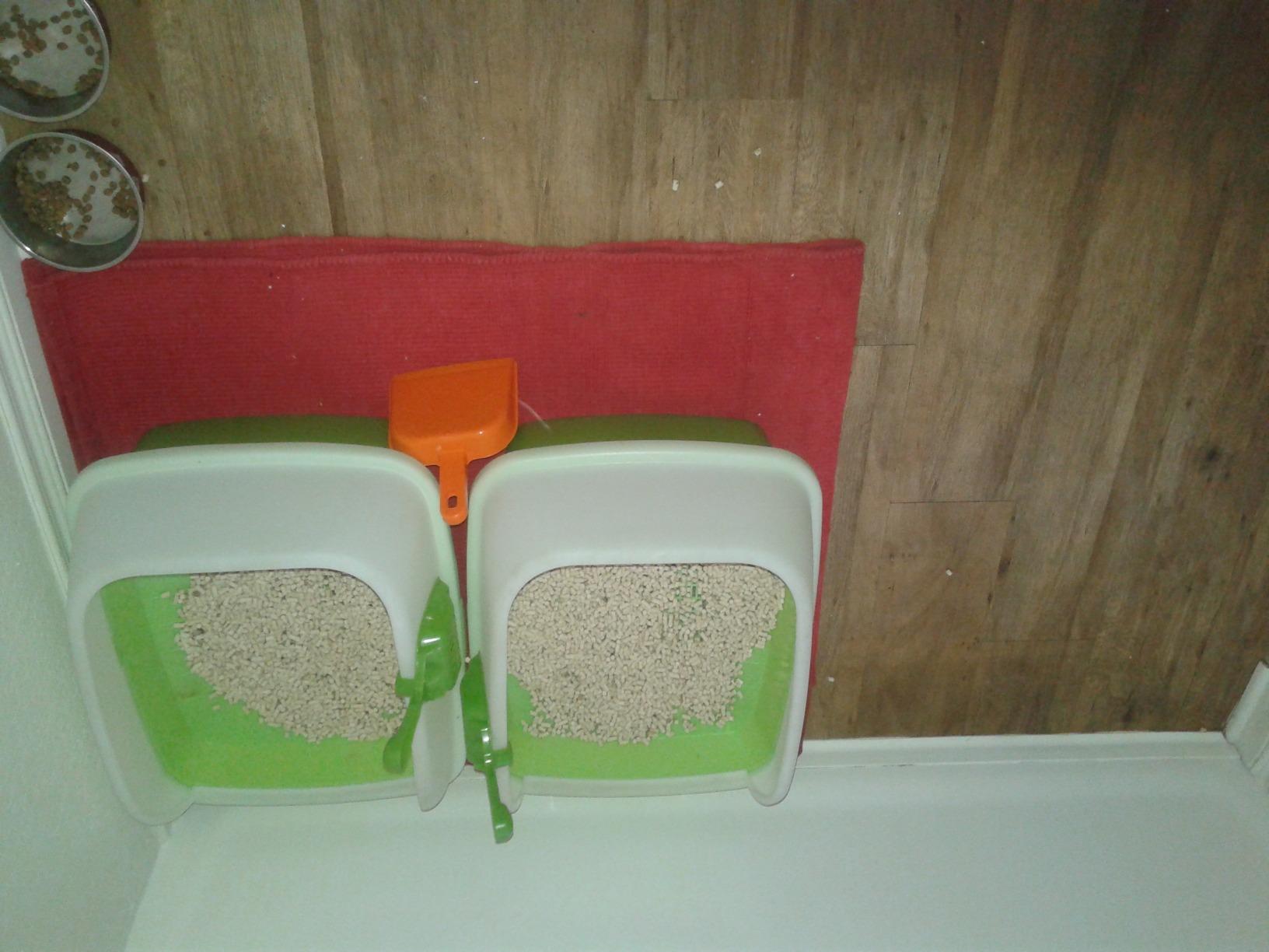 Purina Tidy Cats Litter Box System, BREEZE System Starter Kit Litter Box, Litter Pellets & Pads customer photo 1