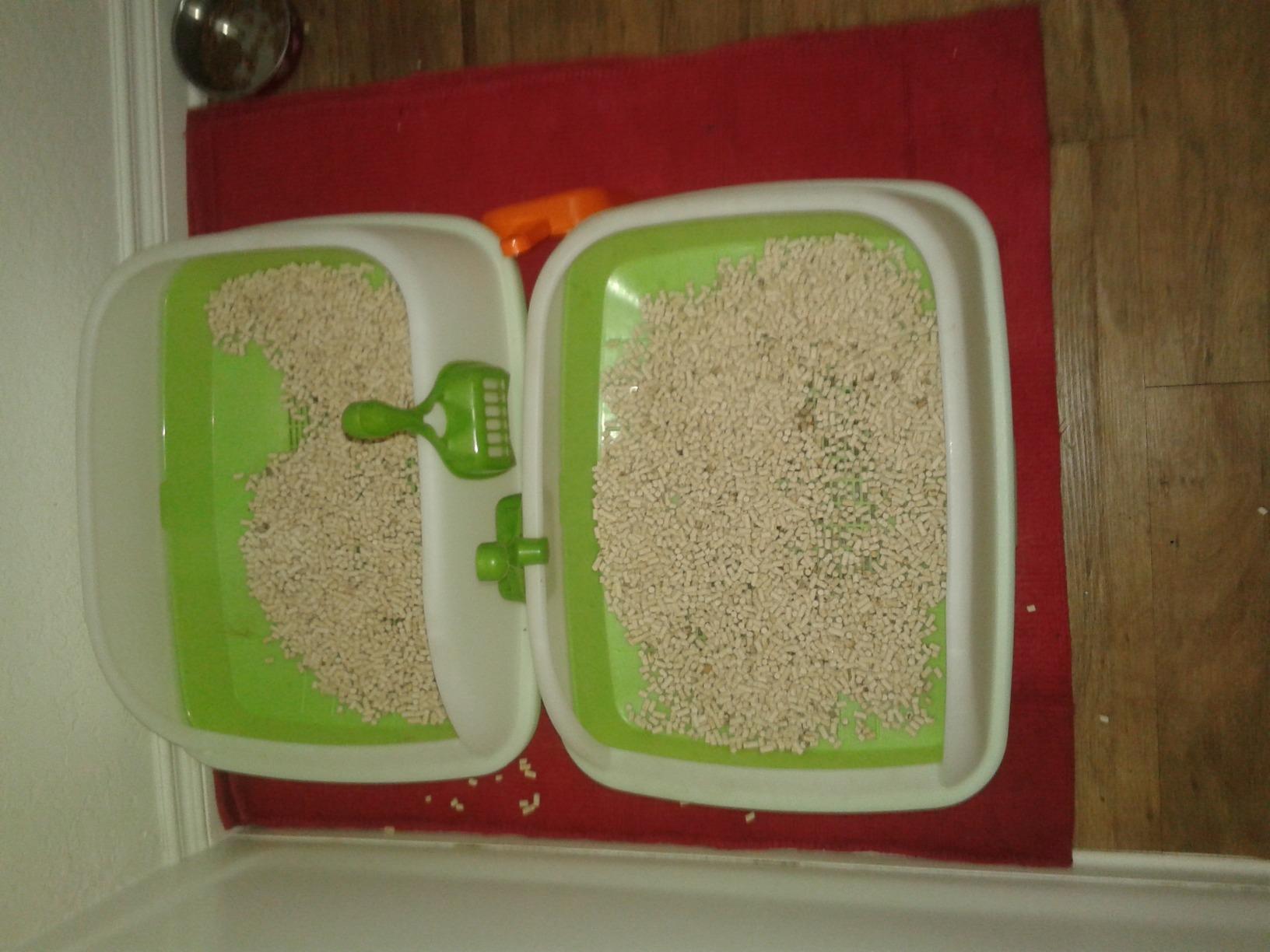 Purina Tidy Cats Litter Box System, BREEZE System Starter Kit Litter Box, Litter Pellets & Pads customer photo 2
