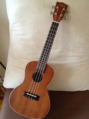 Kala KA-C Satin Mahogany Concert Ukulele customer photo 1