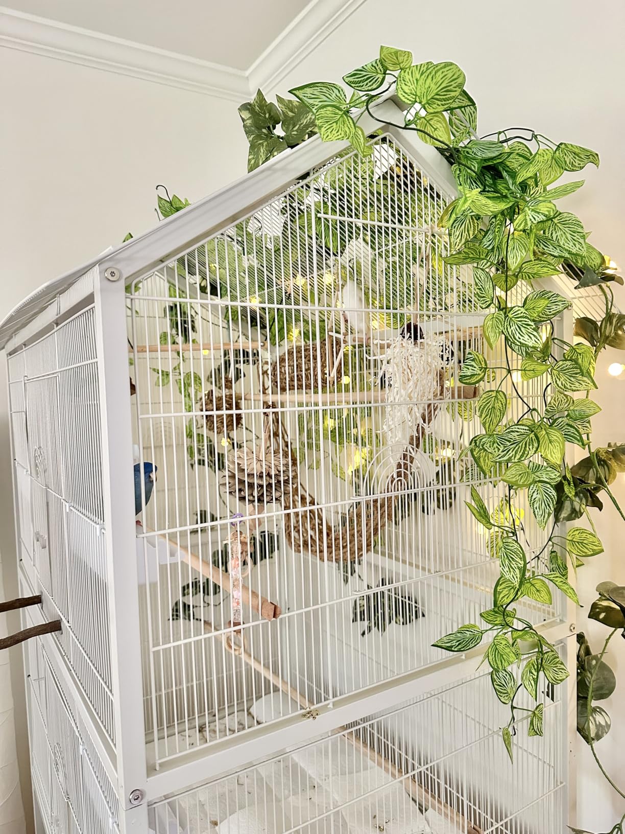 Prevue Pet Products Steel Bird Flight Cage with Wheels - Black, Large | Large Birdcage for Parakeets, Canaries, Finches, Cockatiels, Lovebirds, & Green Cheek, Metal Standing Birdcage customer photo 1
