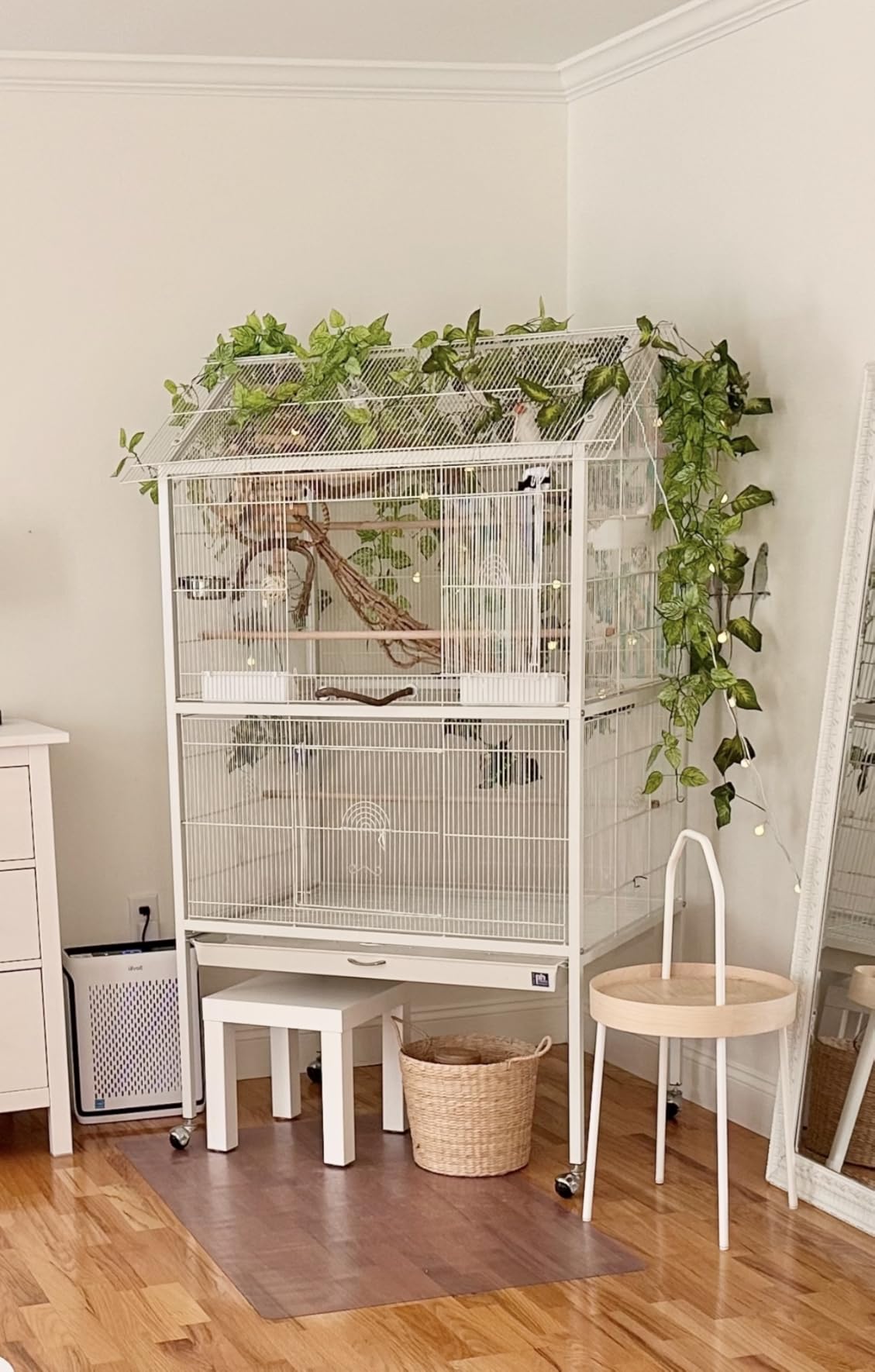 Prevue Pet Products Steel Bird Flight Cage with Wheels - Black, Large | Large Birdcage for Parakeets, Canaries, Finches, Cockatiels, Lovebirds, & Green Cheek, Metal Standing Birdcage customer photo 2