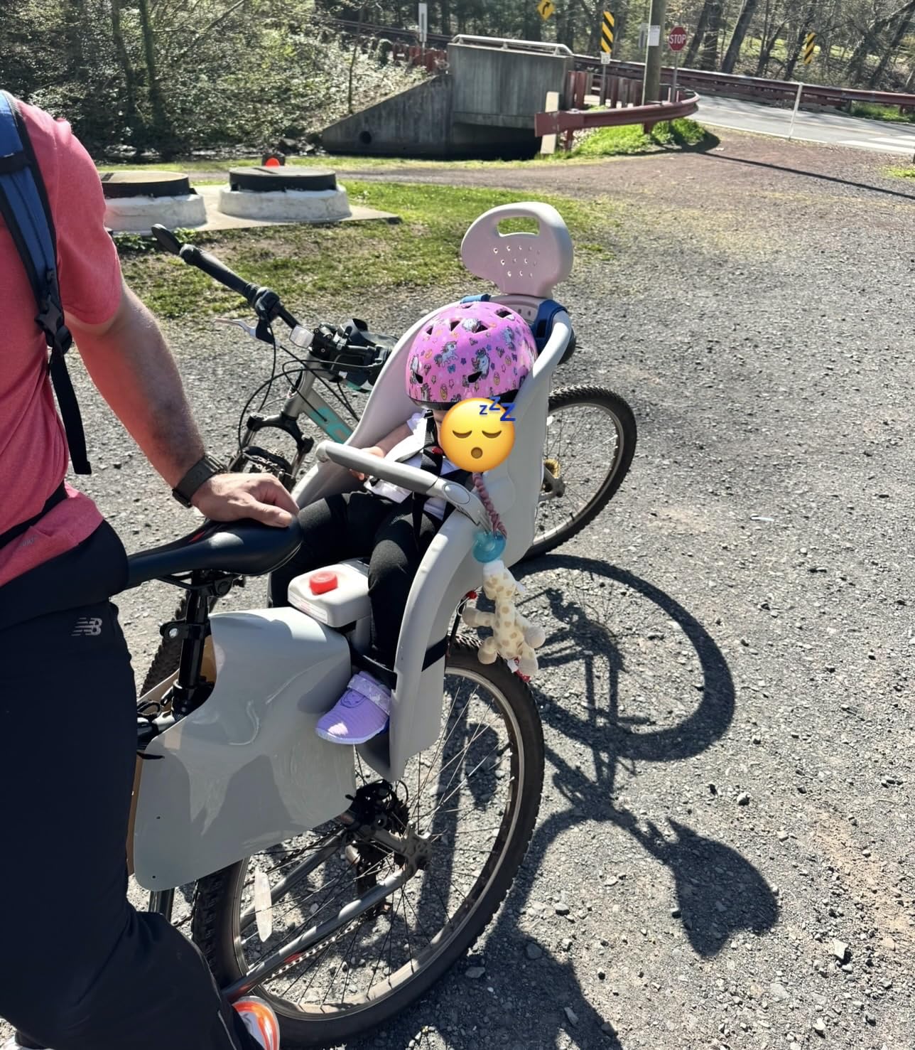 Schwinn Deluxe Child Bike Carrier, Seats one Kid Ages 1+, Frame Mount, Adjustable Safety Harness, Quick Release Design, Comfortable Padding, Rear-Mounted Child Bike Seat for Toddler customer photo 1