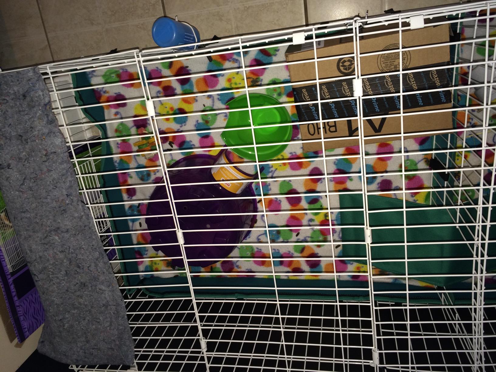 MidWest Homes for Pets Guinea Habitat Plus Cage, Includes Divider Panel and Hinged Top, Washable PVC Canvas Bottom, Expandable Small Animal Cage for Guinea Pigs, 171GHP customer photo 1