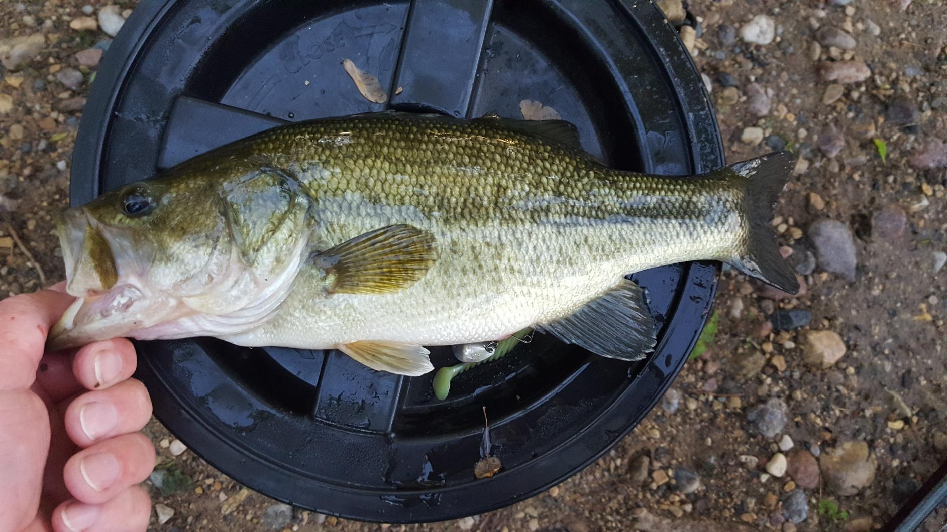 Rapala X-Rap Jerkbait XR10 Fishing Lure customer photo 2