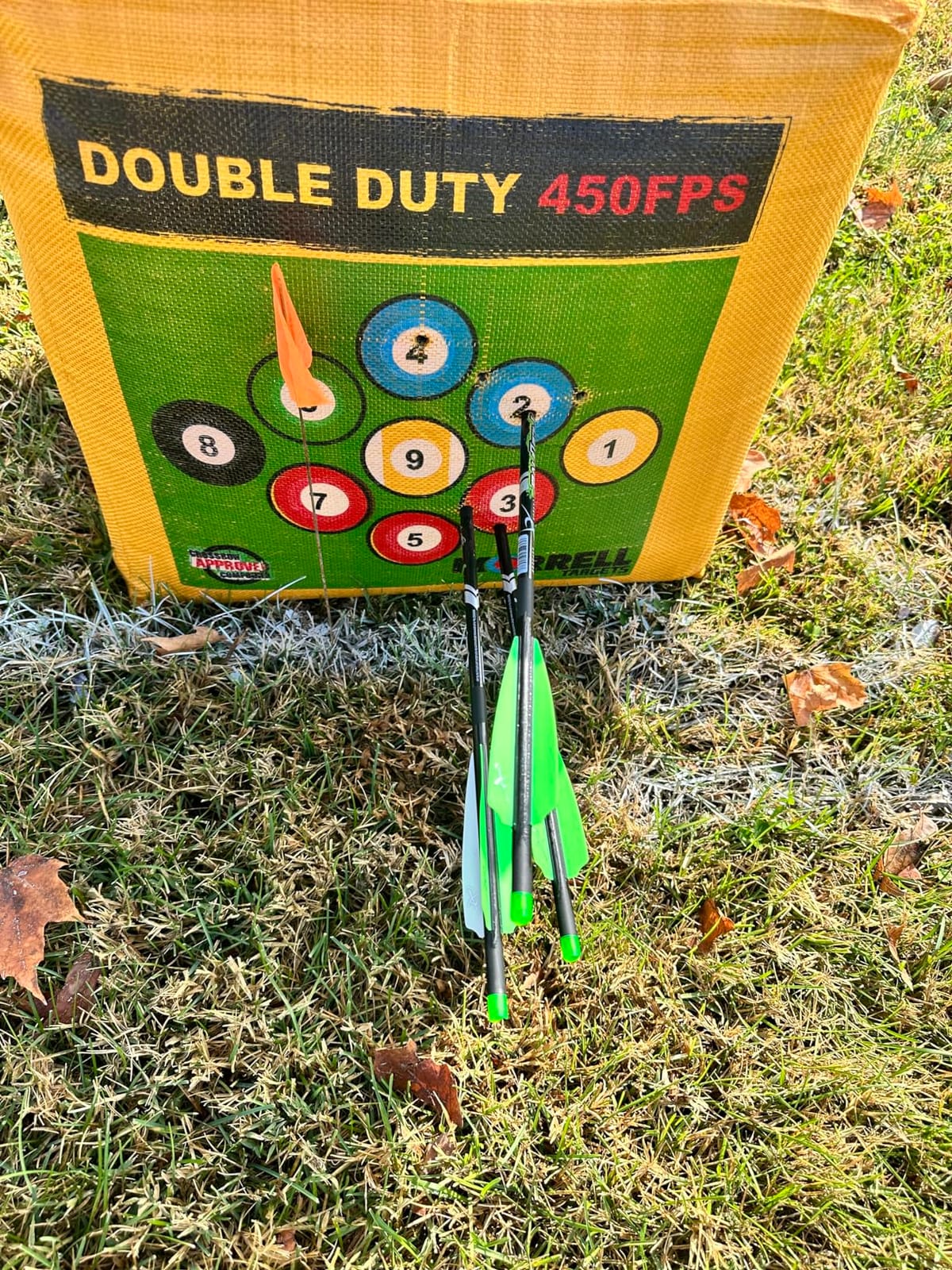 Morrell Double Duty 450 FPS Cube Field Point Archery Bag Target, Yellow customer photo 1