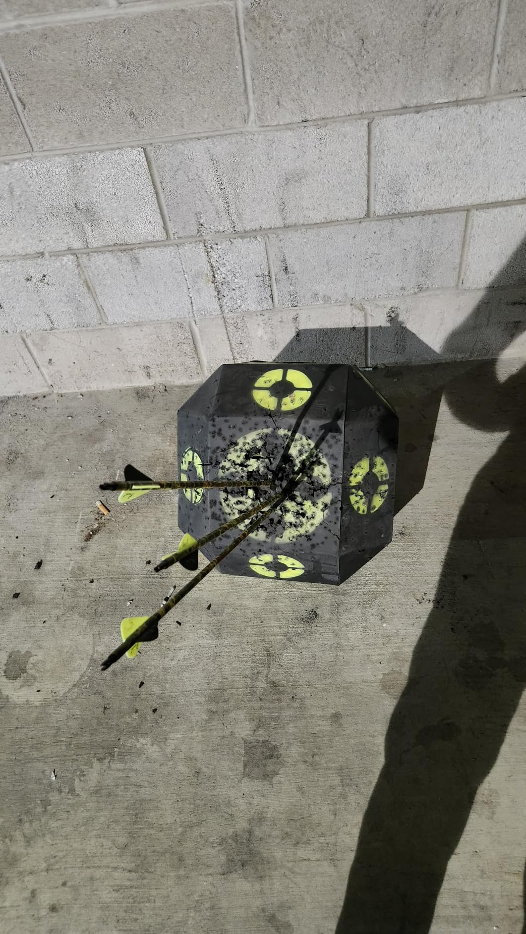 Rinehart 18-1 Archery Target, 18-Sided, Broadhead & Field Point Compatible customer photo 1