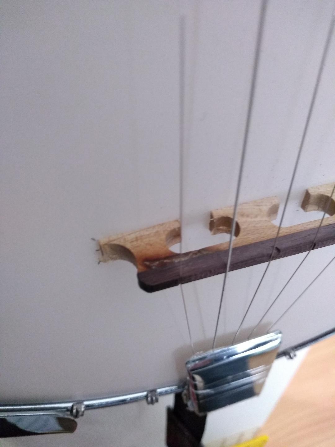 Jameson Guitars 5-String Banjo 24 Bracket with Closed Solid Back and Geared 5th Tuner customer photo 2