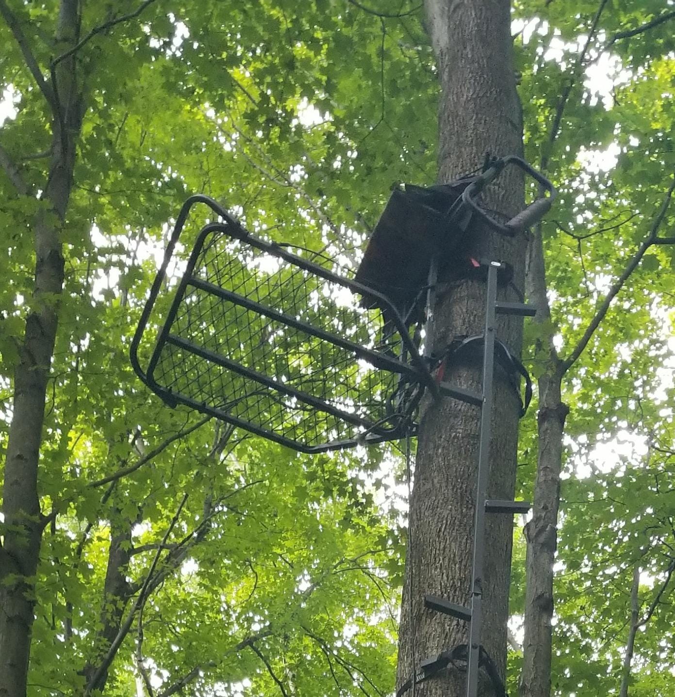 Guide Gear Deluxe Hang-On Tree Stand Chair for Hunting Cushion Seat Hunt Gear Equipment Accessories, Camo customer photo 1