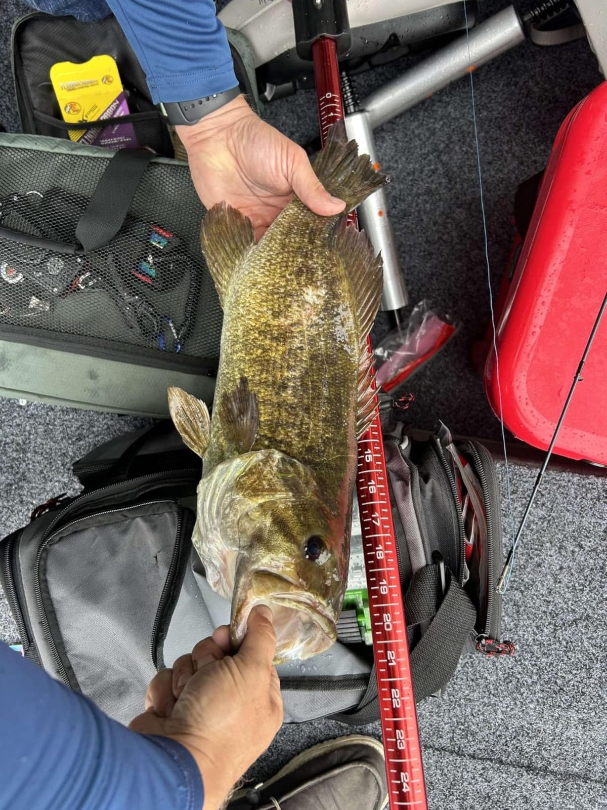 Booyah Blade Spinner-Bait Bass Fishing Lure customer photo 2