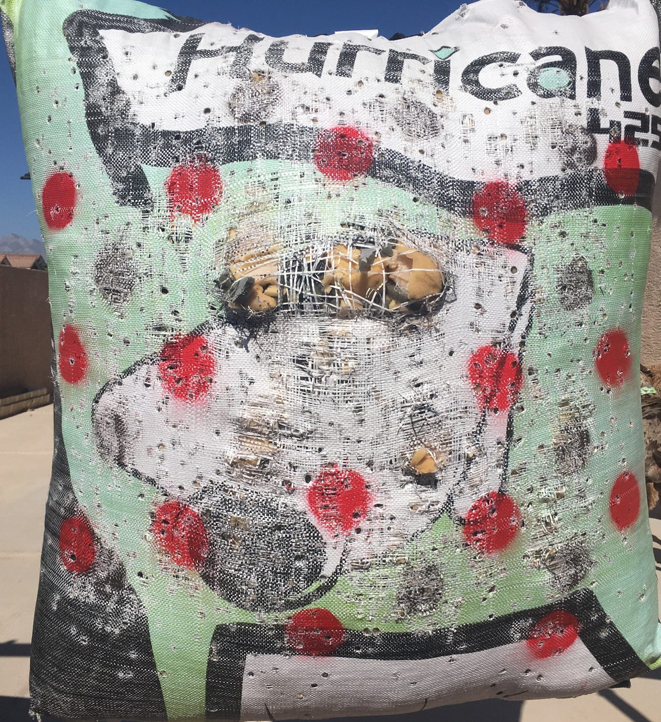 Hurricane 2-Sided High-Velocity Archery Bag Target, High-Visibility Aiming Points, Off-Center Deer Vitals on Back, Heavy-Duty Handle for Easy Transport customer photo 1