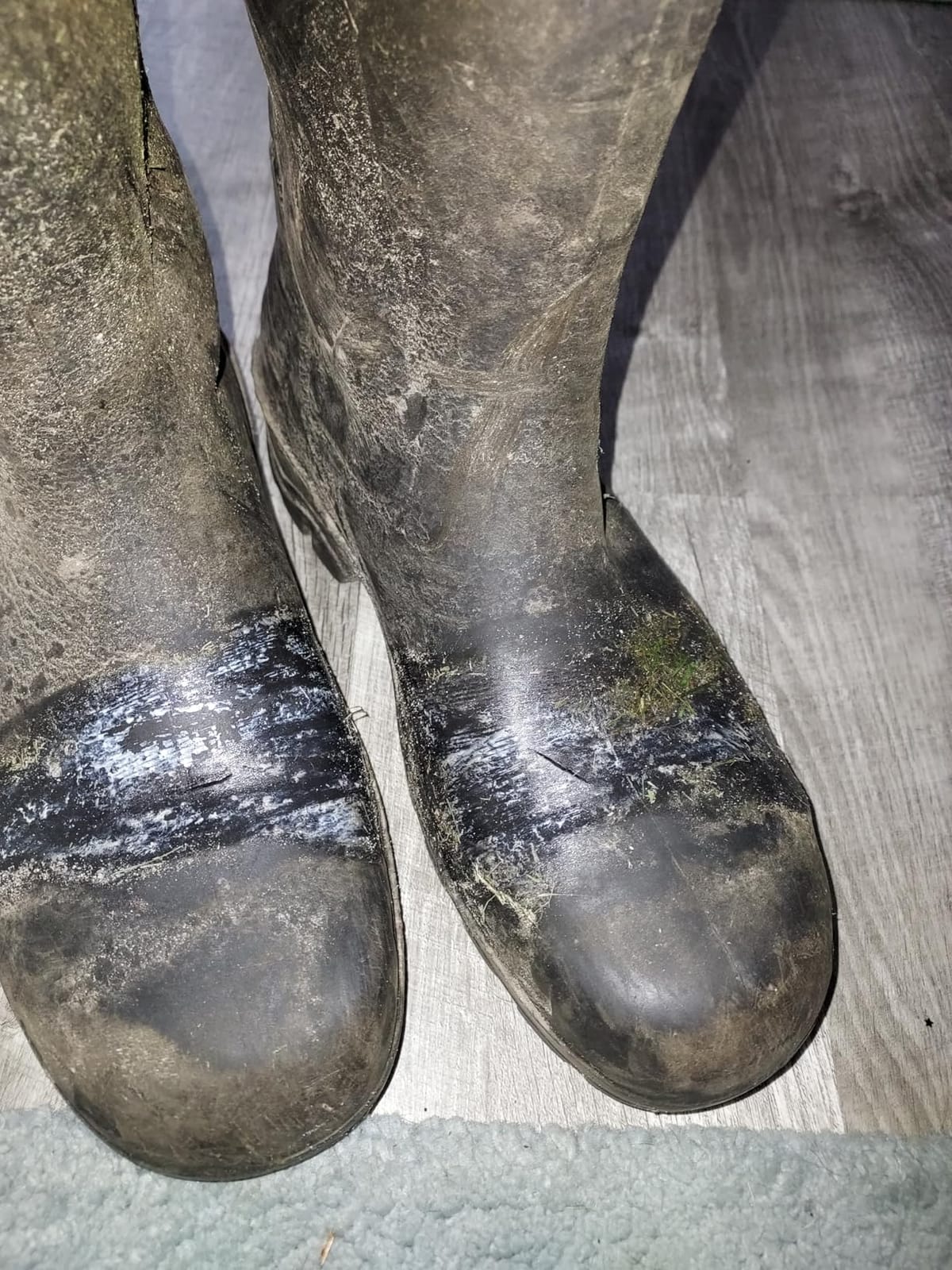 DUNLOP Chesapeake Steel Toe Rubber Work Boots customer photo 2