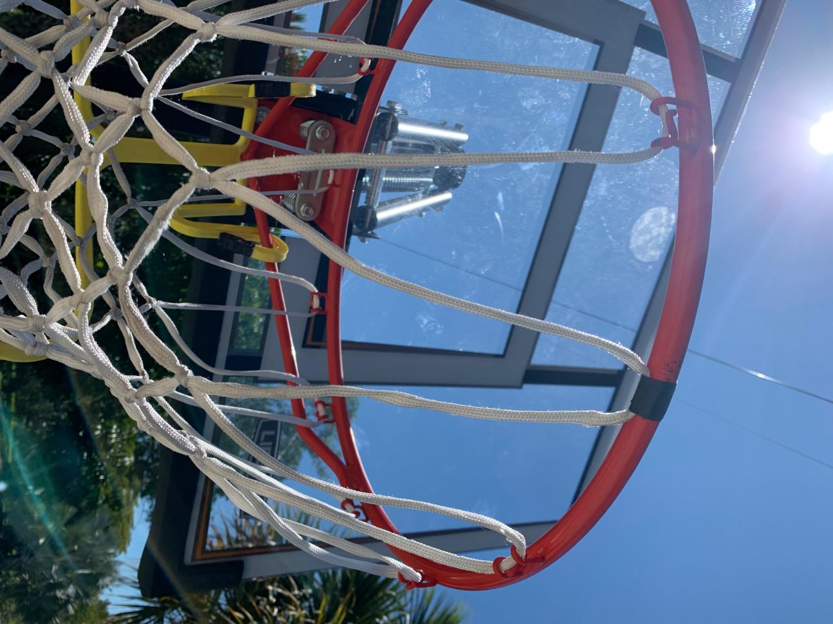 Lifetime 90061 Portable Basketball System, 52 Inch Shatterproof Backboard, Black customer photo 1