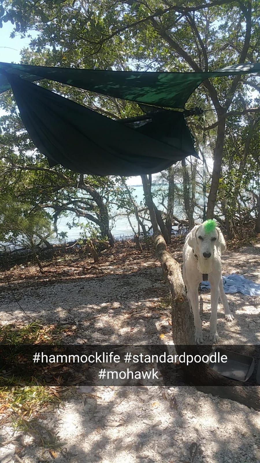 Hennessy Hammock - Expedition Zip customer photo 1