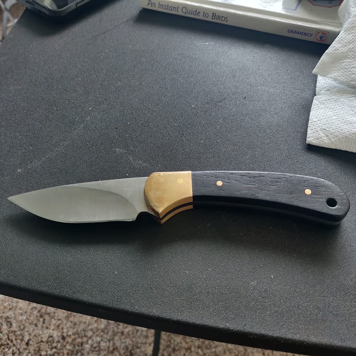 Buck Knives 113 Ranger Skinner Hunting Knife with Sheath, 3-1/8
